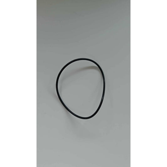 Guarnizione 2,62 x 74,8 1210019300 - RICAMBI POMPE COMET