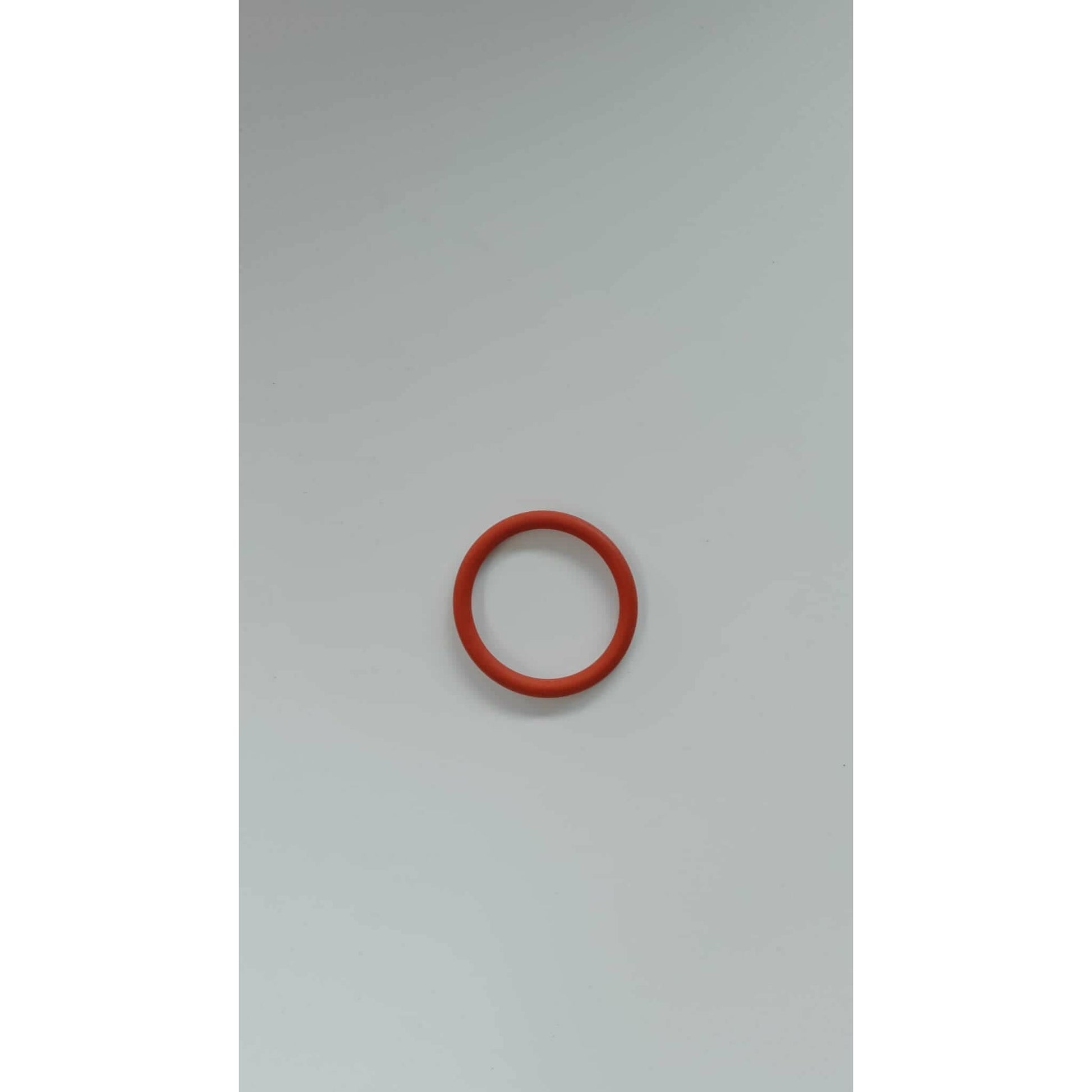 Guarnizione 3,53 x 74,61 VT - RICAMBI POMPE COMET