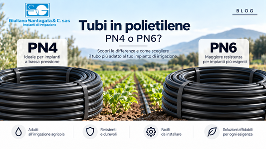Rotoli di tubo in polietilene PN4 e PN6 per irrigazione