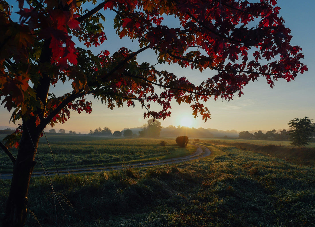 otoli di tubo PE PN4 e PN6 per irrigazione posati su terra in autunno