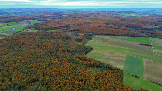 svernamento-impianto-irrigazione-agricolo