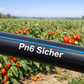 Tubo Polietilene Plastic Puglia - Sicher bassa densità nero PN 6 per Irrigazione da 16 -20 - 25 - 32 - 36 - 40 - Made in Italy