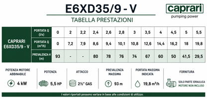 Pompa Sommersa Caprari Serie E6XD –  E6XPD - 6" - Solo Pompa Senza Motore
