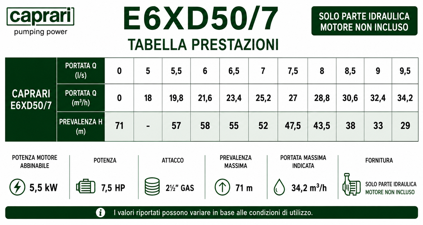 Pompa Sommersa Caprari Serie E6XD –  E6XPD - 6" - Solo Pompa Senza Motore