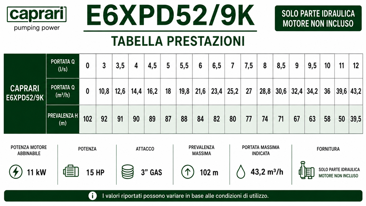 Pompa Sommersa Caprari Serie E6XD –  E6XPD - 6" - Solo Pompa Senza Motore