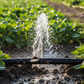 Tappo Chiusura Fori per Tubi Irrigazione – Tappino per Fori Derivazioni e Microtubo